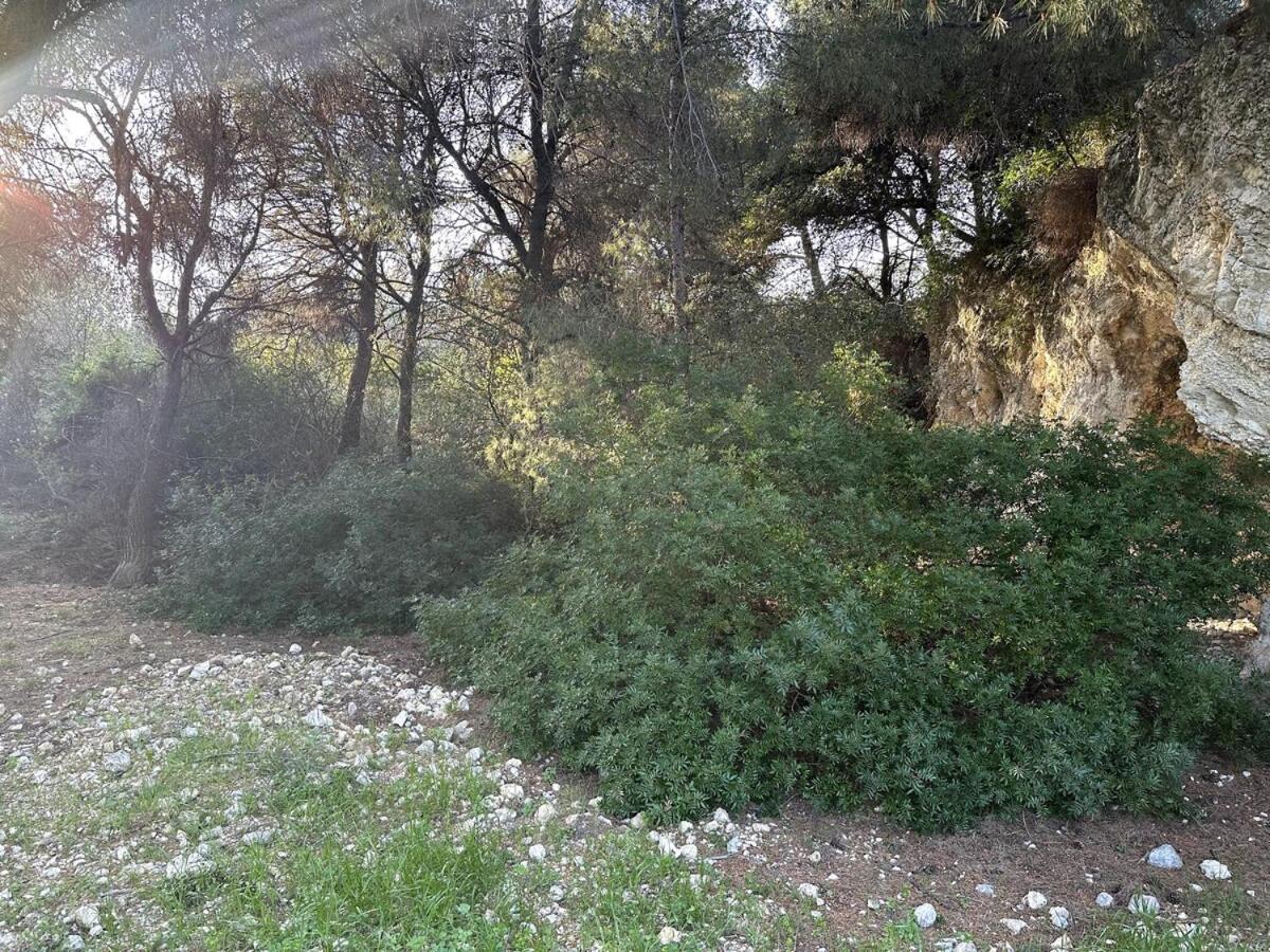 Appartamento Breathe Guest-House Nizza Esterno foto